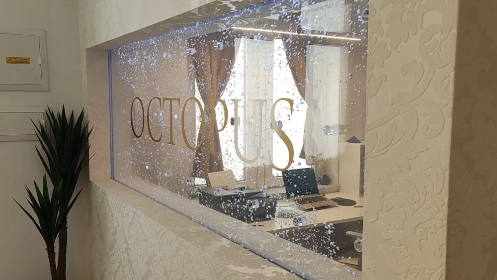Octopus - Piercing, Tattoo & Laser studio - 3