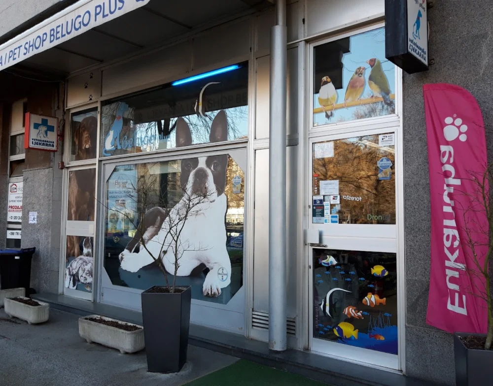Pet shop Belugo Plus - 2