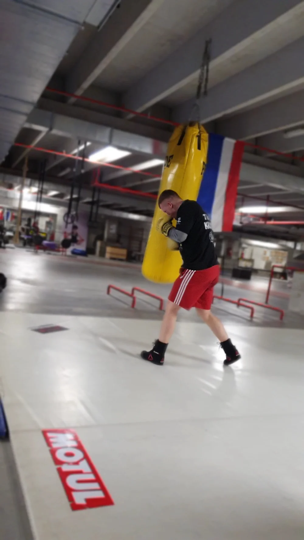 Spartagym - 3