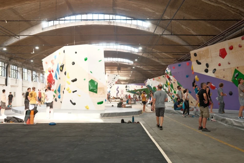 The Hive Zagreb - Climbing & Yoga - 5