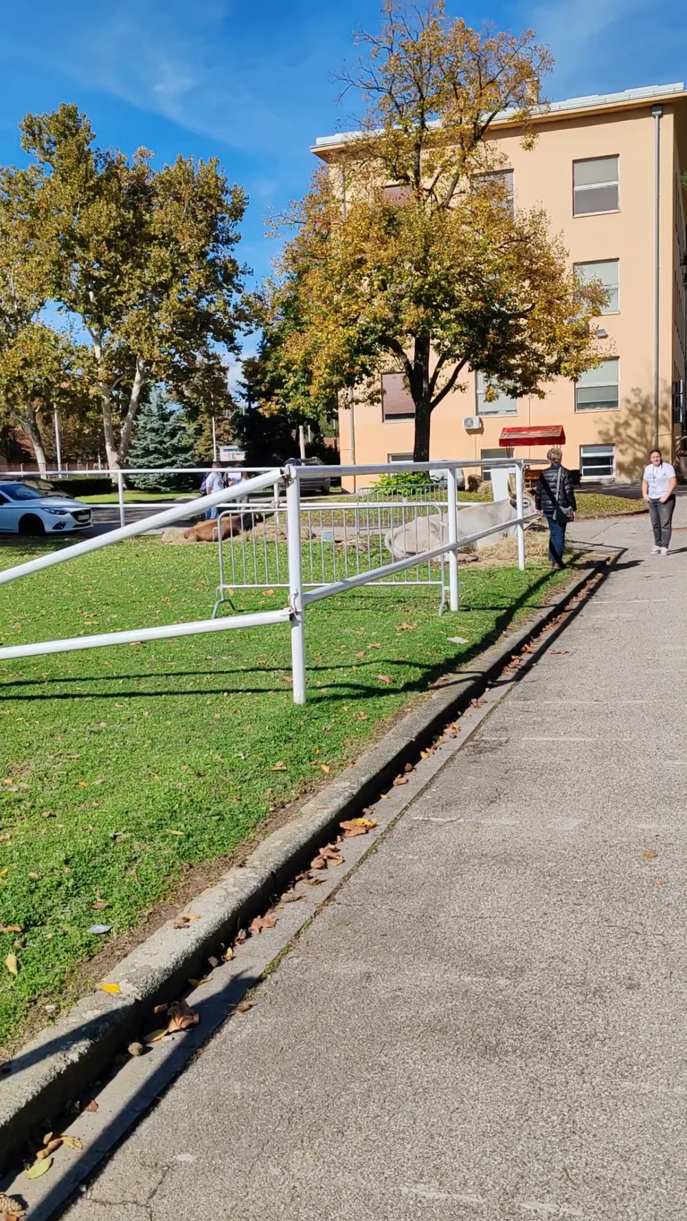 Veterinarski fakultet Sveučilišta u Zagrebu - 2